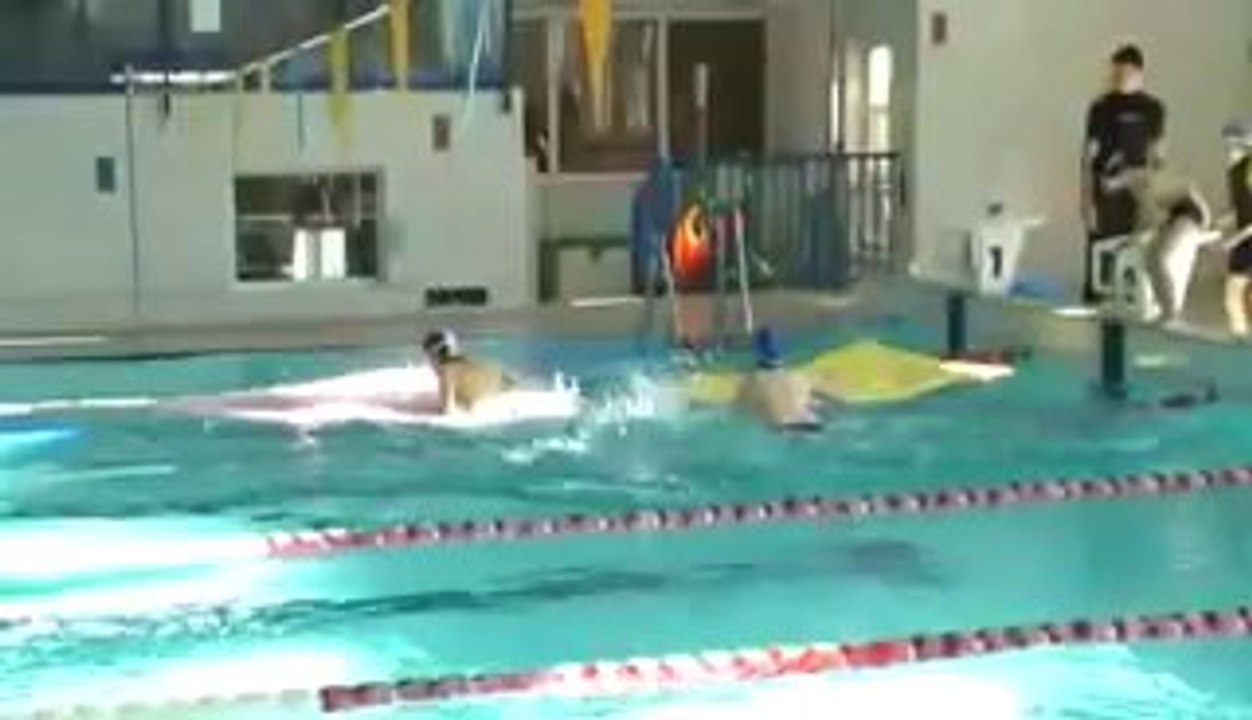 Doskonalenie Pływania dla Dzieci na Dużym Basenie Dawid Dobroczek WWW.ARGONAUT.GDA.PL