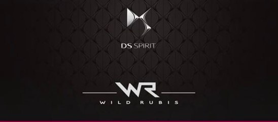 DS Wild Rubis : le futur SUV Citroën s'annonce à Shanghai