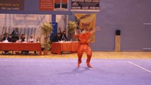 Championnat IDF 2014 Wushu
