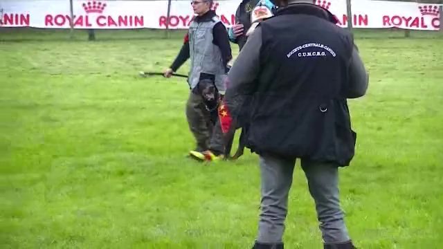 daicko defense selectifs 2014 face