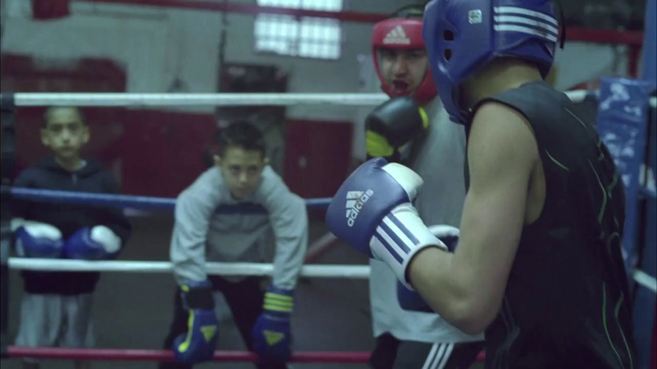 Boxing pour Adidas