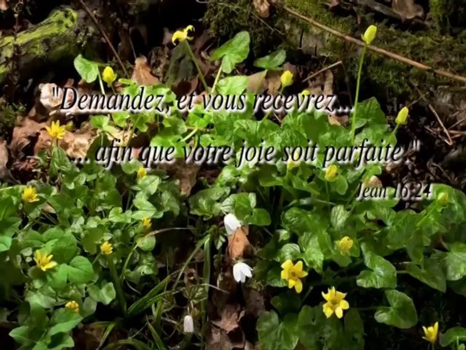 Le Reveil de la Foi