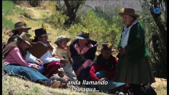 Cine | Estrenos: Mandela y El lobo de Wall Street protagonizan los estrenos de la semana