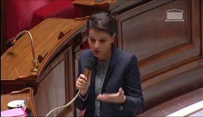 NON A LA MEDIATION DANS LE CADRE DES VIOLENCES FAITES AUX FEMMES REPONSE MINISTRE RAPPORTEUR