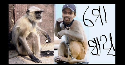 orissa cricket ranji cricketer natraj behera orissa sports (12)