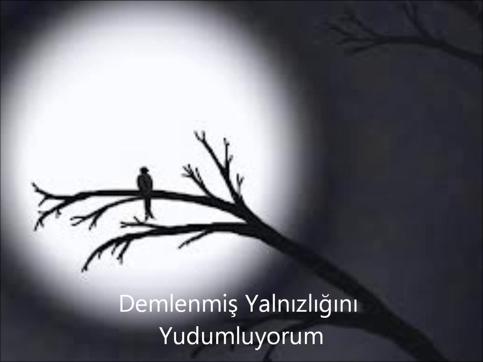 Demlenmiş Yalnızlık