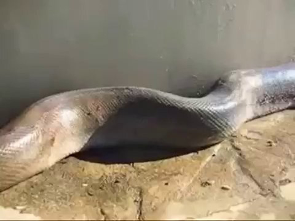 Haaaaaaaa!!!!!