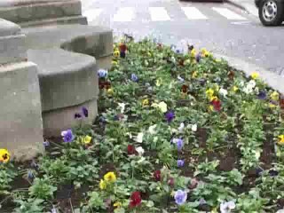 Essai Mini Cooper D Clubman