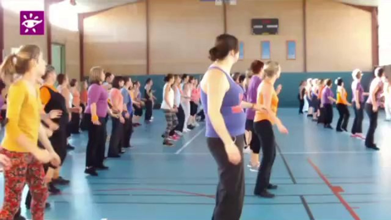 Monnaie Téléthon 2013