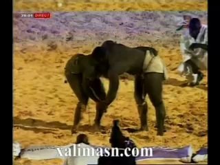Modou Lo terrasse Eumeu Sene