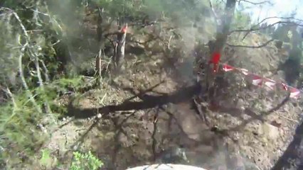 GoPro HD Hare Scramble Hitting Tree
