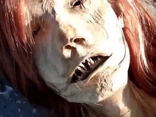 Real Or Fake? : Dead Mermaid Found Washed Up In Florida!