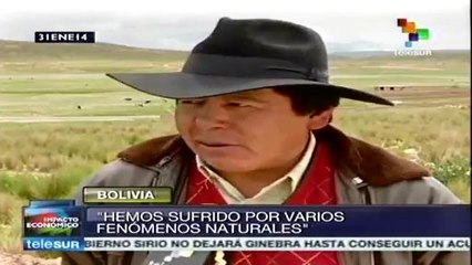 Seguro Agrícola protege producción de familias campesinas bolivianas