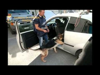 Liguria - Maxi operazioni antidroga in Liguria, a Genova e Ceriale (27.12.13)