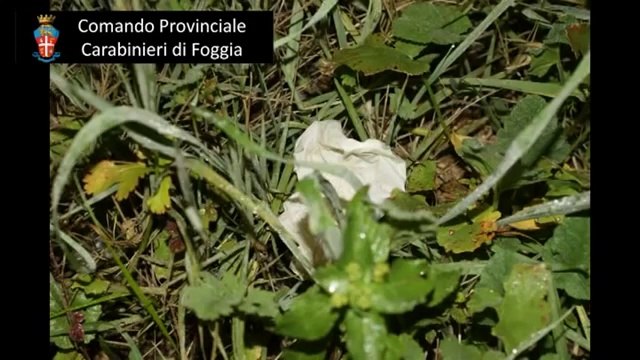 Apricena (FG) - Omicidio Radatti, arrestata 42enne, aggravato da premeditazione (27.12.13)