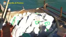 Taranto - Fermati su natante con 1.040 kg marijuana, 3 arresti (07.12.13)