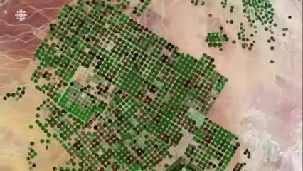 Bande-annonce L'arabie, terre d'éternité - maintenant en DVD et sur iTunes