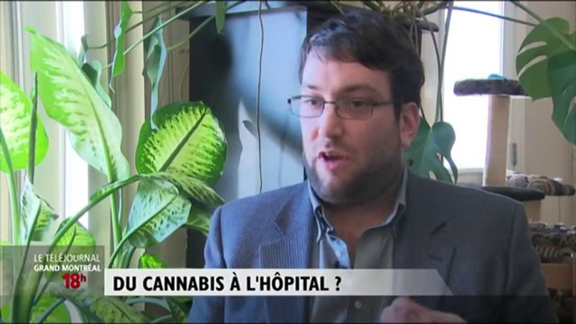 ⁣Du cannabis à l'hôpital?