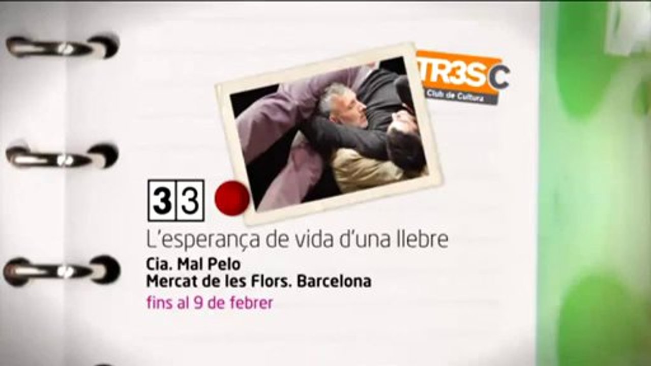 TV3 - 33 recomana - L'esperança de vida d'una llebre. Cia. Mal Pelo. Mercat de les Flors