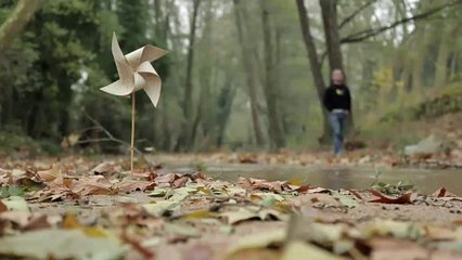 Via llibre - capítol 84