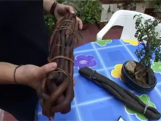 TV3 - Karakia - Charquicán de cochayuyo (Diana i Tamara, Xile)