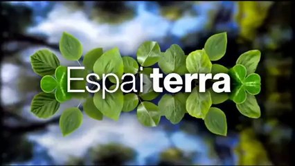Espai Terra. dilluns 9 de desembre