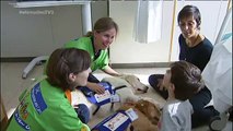 TV3 - Els Matins - Gossos que acompanyen els nens durant els ingressos hospitalaris