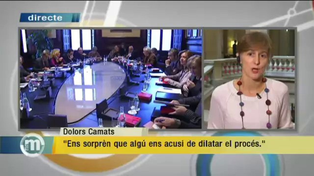 TV3 - Els Matins - Dolors Camats: "Ens sorprèn que algú ens acusi de dilatar el procés"