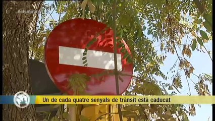 TV3 - Els Matins - Un gran iceberg es desprèn a l'Antàrtida