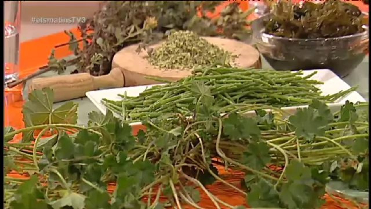 TV3 - Els Matins - "Deliciosa natura", un llibre per saber els secrets del menjar que ens ofereix l