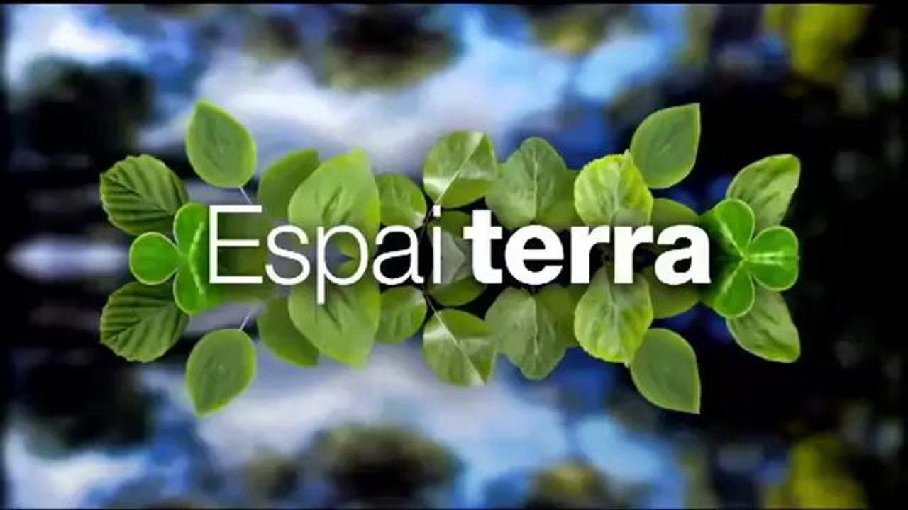Espai Terra. dimecres 20 novembre
