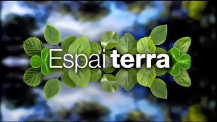 Espai Terra. dimecres 20 novembre