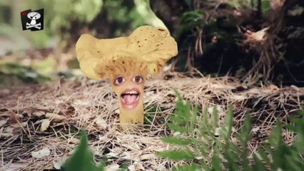 TV3 - Caçadors de Bolets - Els micòlegs