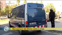 TV3 - Els Matins - Macrooperació dels Mossos contra la droga