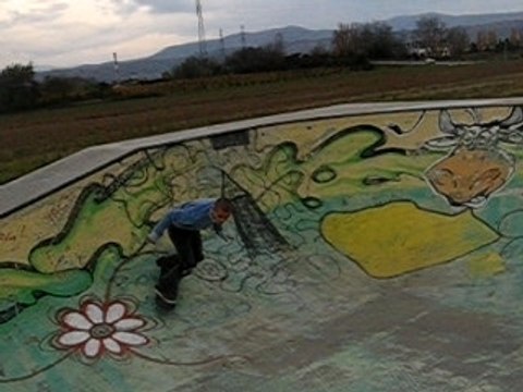 skate frank et remi-jay from lyon 122