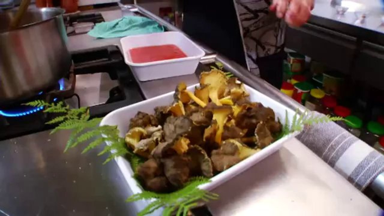 TV3 - Caçadors de Bolets - Ànec salvatge amb camagrocs