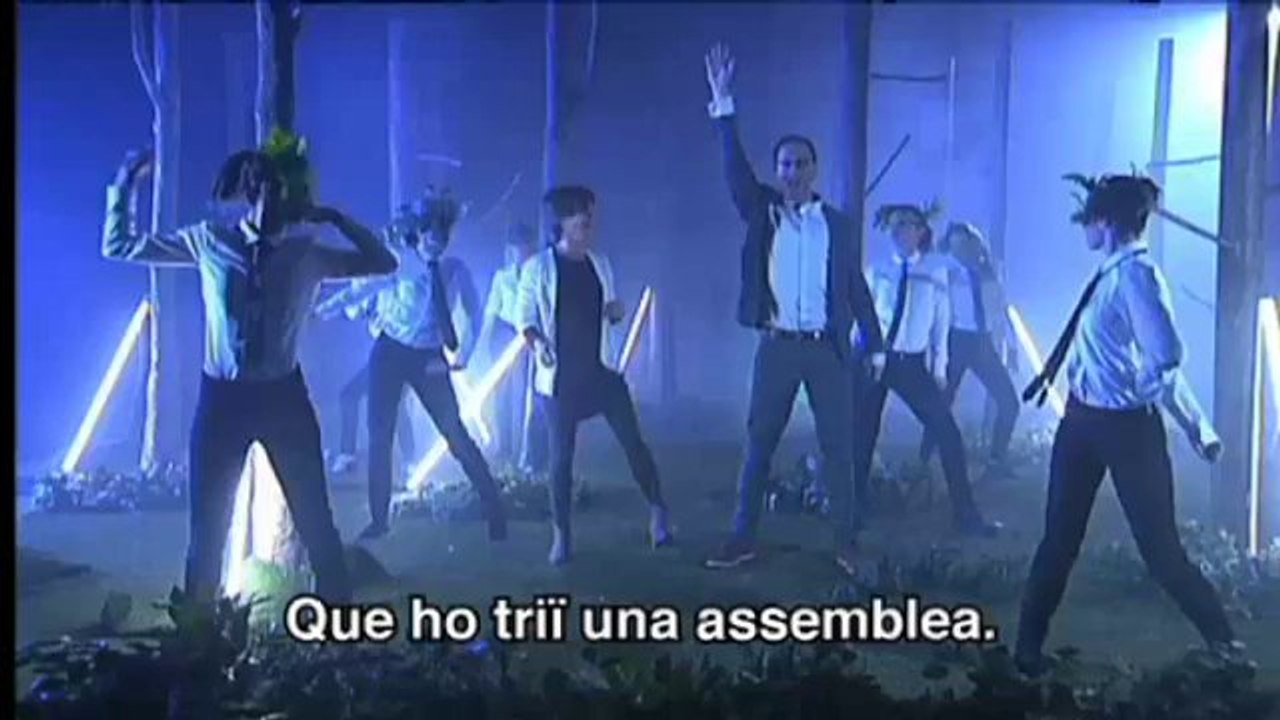 TV3 - Polònia - Què voten els Verds?