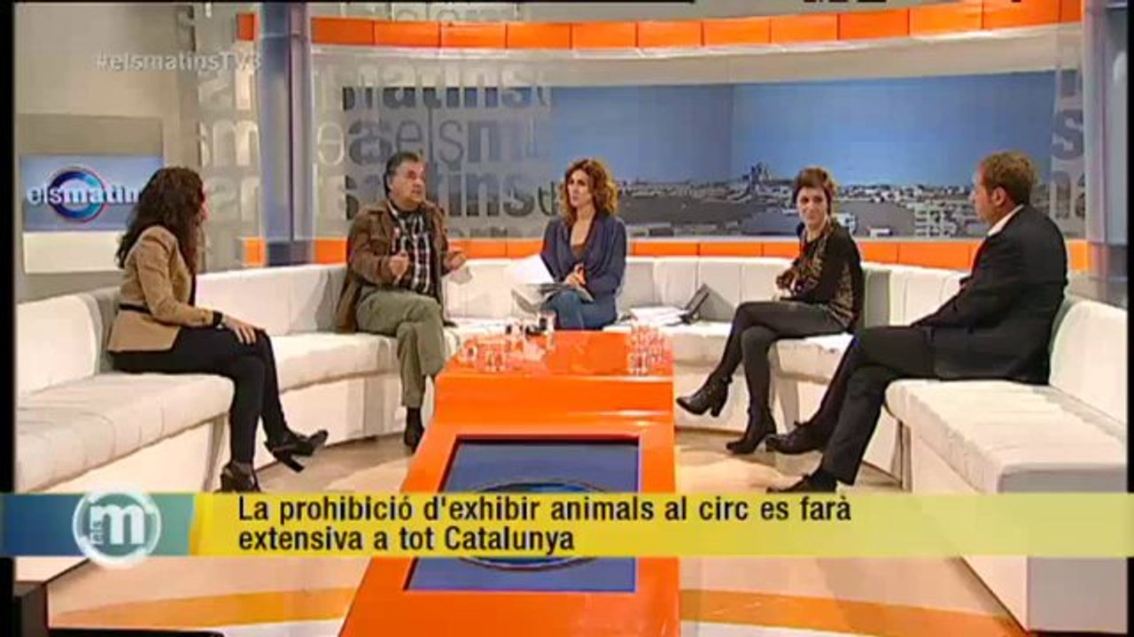 TV3 - Els Matins - La prohibició d'exhibir animals al circ es farà extensiva a tot Catalunya