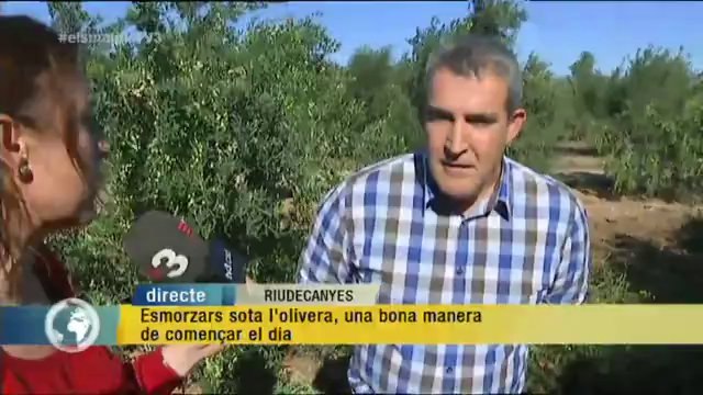 TV3 - Els Matins - Esmorzar sota l'olivera, una bona manera de començar el dia