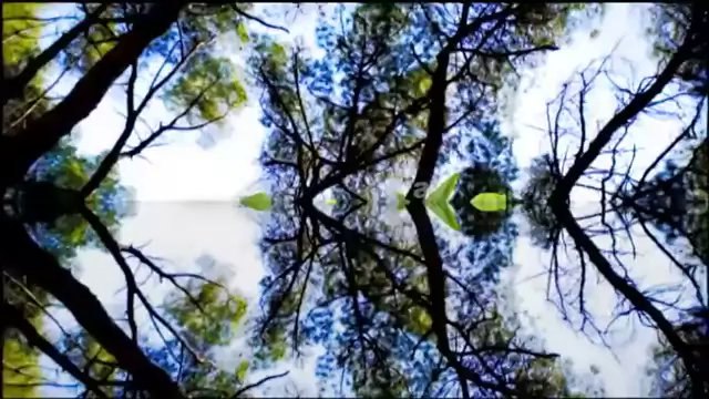 Espai Terra. dilluns 4 novembre