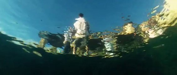 The Hangover Part III – 2013 [Download .torrent]