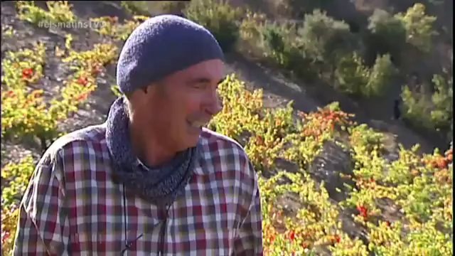 TV3 - Els Matins - El Celler Vall Llach, una aposta pel territori