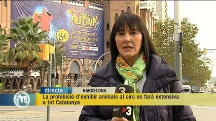 TV3 - Els Matins - Les notícies del dia (30/10/13)