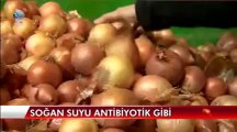 Soğan, doğal antibiyotik görevi görüyor
