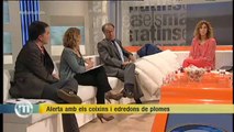 TV3 - Els Matins - Productes amb plomes, causa d'una malaltia pulmonar