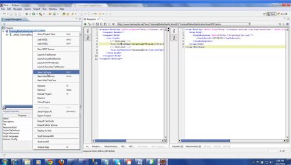 SoapUI Web Service Testing Video Tutorial Training - Eclipse Addin (1)
