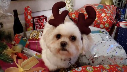 CHRISTMAS NOOBS! - Battlefield 4