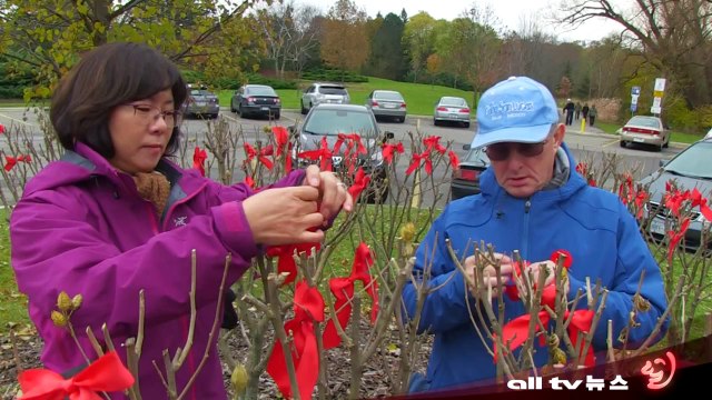 온주 토론토, 리멤버런스 데이 작지만 특별했던 추모 행사 ALLTV NEWS EAST 12NOV13