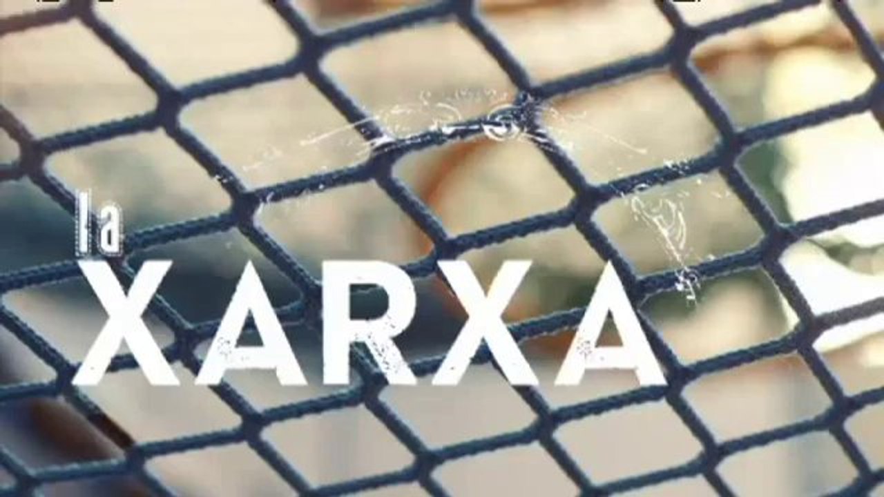 TV3 - Quarts de nou - El seny