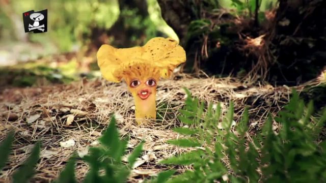 TV3 - Caçadors de bolets - Caçadors de bolets - capítol 90